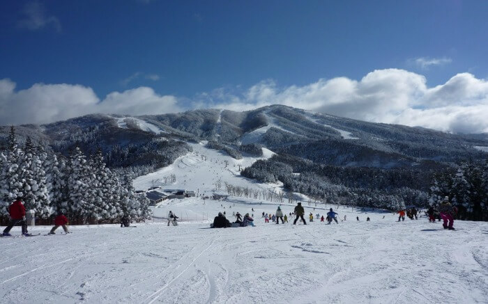 Tourists enjoying skiing at Gulaba near Manali