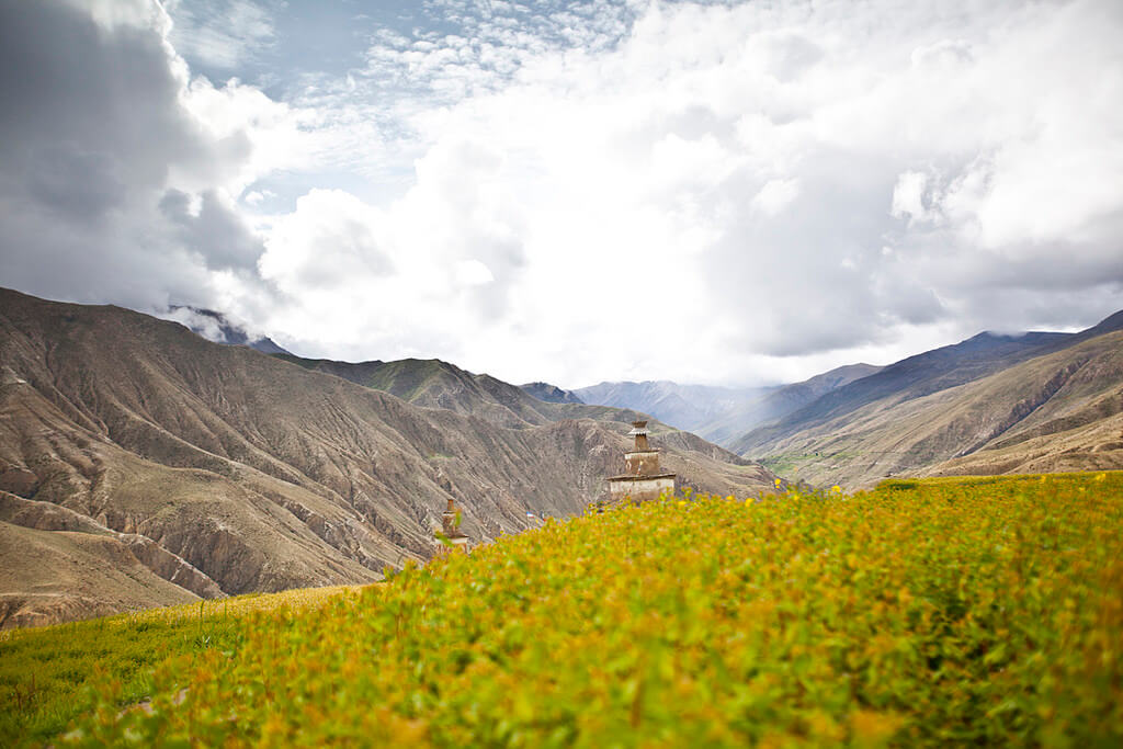 spring in upper dolpo