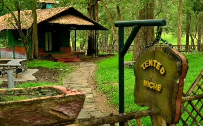 acj-2908-parambikulam-tiger-reserve-
