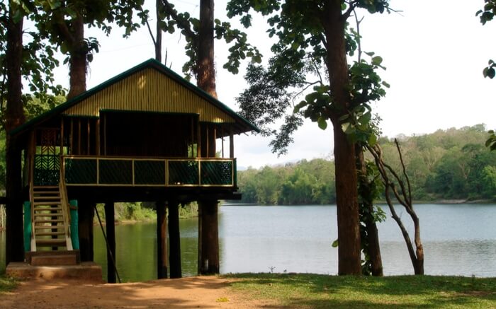acj-2908-parambikulam-tiger-reserve-(7)