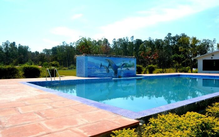huge swimming pool of a resort