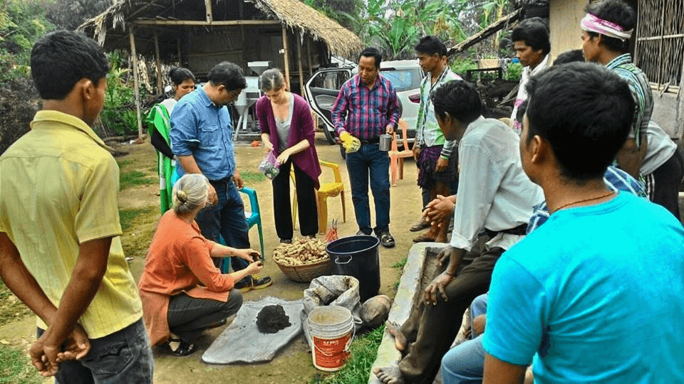 volunteers helping in plantation