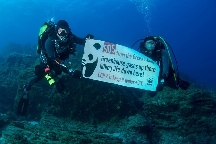A group of WWF members campaigning for the protection of marine life around Gyaros island in Greece