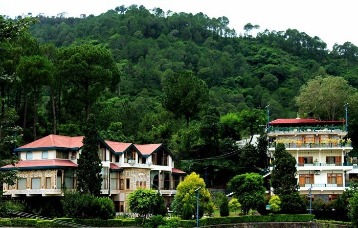 Alcor Spa Resort, Kasauli