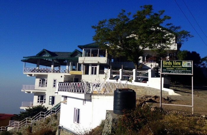 Birds View Resort, Kasauli