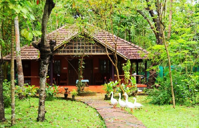 Villas In Kerala: 15 Gorgeous Stays For A Relaxed Vacation