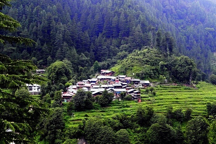 Barot, Himachal
