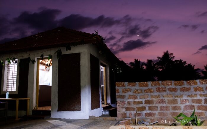 Lotus Beach Resort