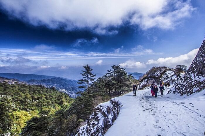 Sandakphu Phalut trekking in Darjeeling