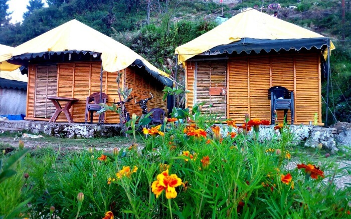 Two beautiful cottages
