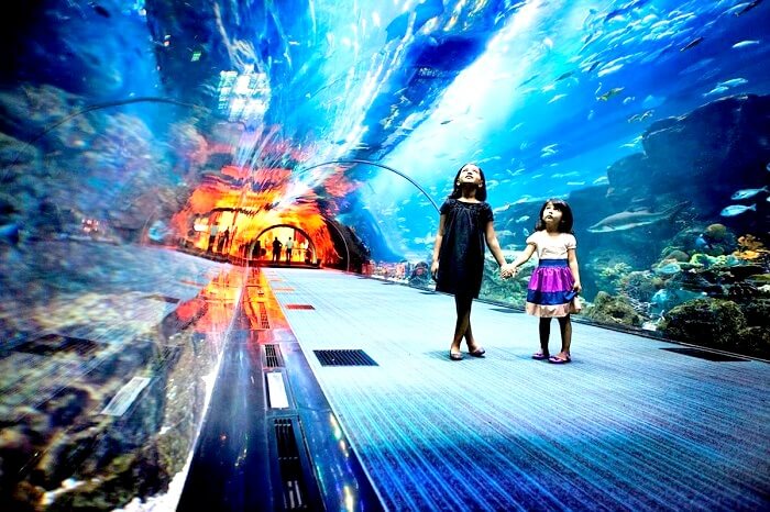 Aquarium Underwater Zoo Dubai