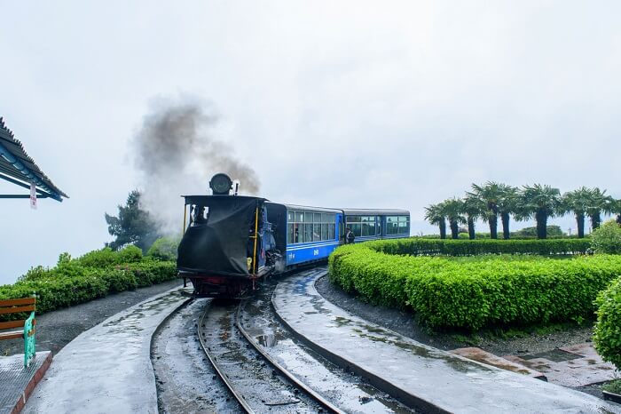 Toy Train in Darjeeling