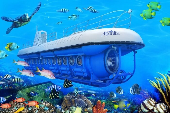 Whale Submarine Maldives