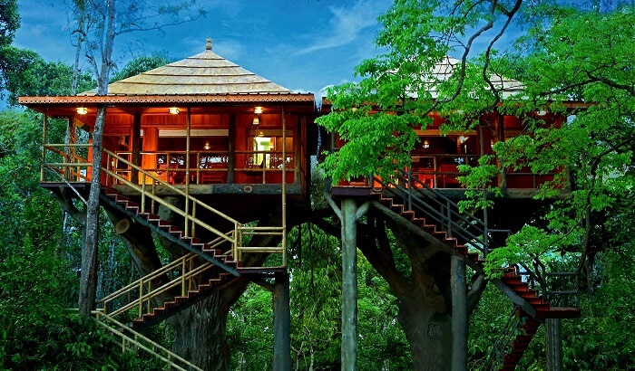 Rangerwood Nature Castle