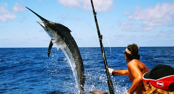 Fishing in Maldives