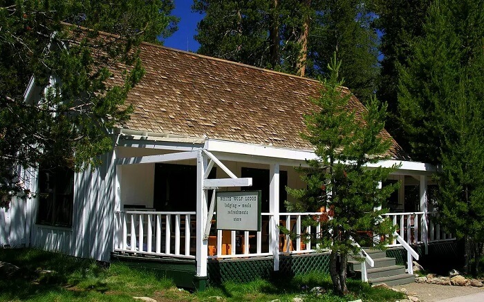 White Wolf Lodge Yosemite