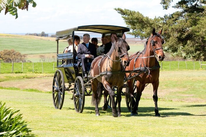 Barossa Carriages in Barossa valley
