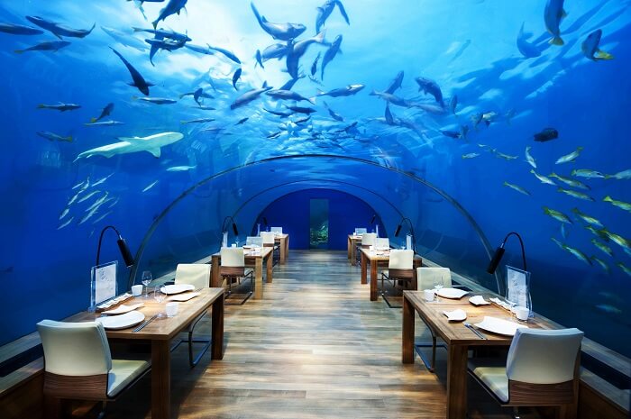 Ithaa Underwater Aquarium Restaurant