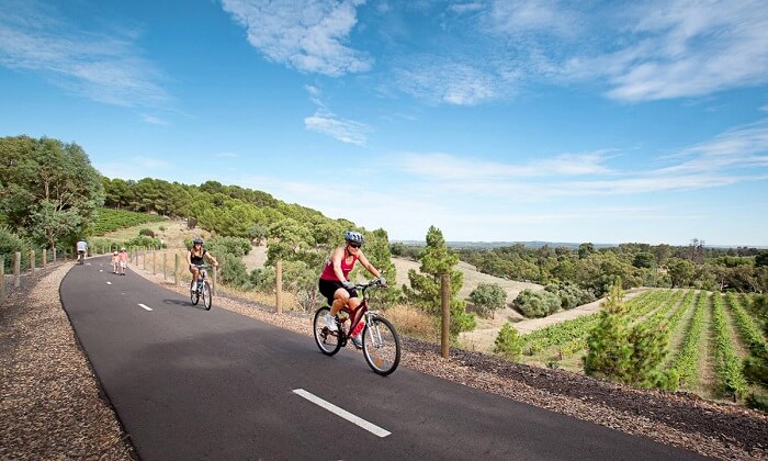famous Barossa Cycle Tours