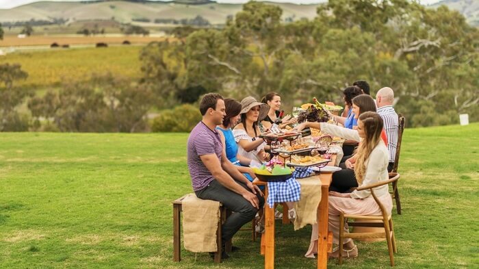 picnin in Barossa