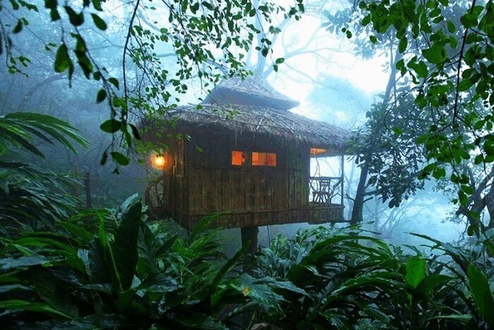 Tree houses in Kerala