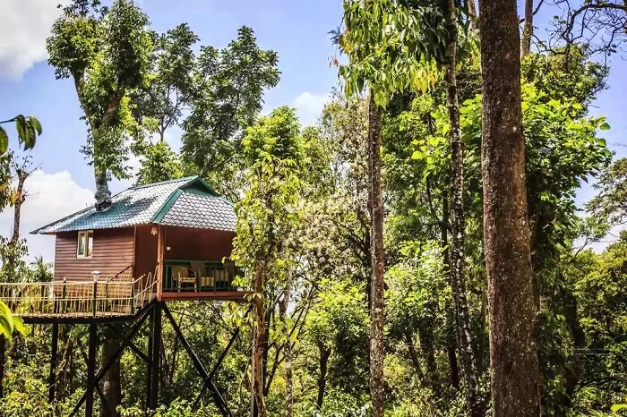 Kerala tree houses