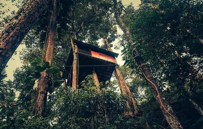Ela Ecoland Nature Retreat