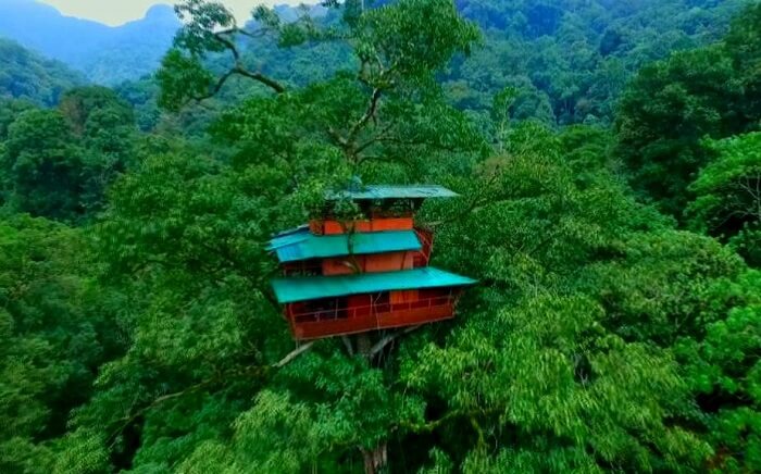 Green Magic Resort