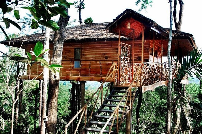 tree houses in Kerala