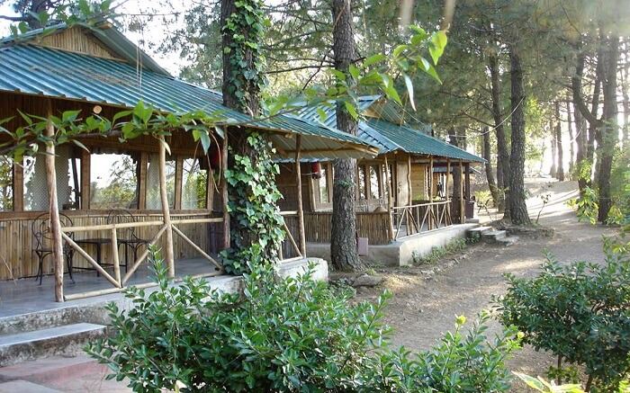 A beautiful hut style resort in Shoghi s