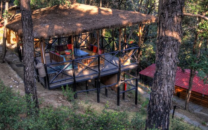 An outdoor dining area in a resort in jungle