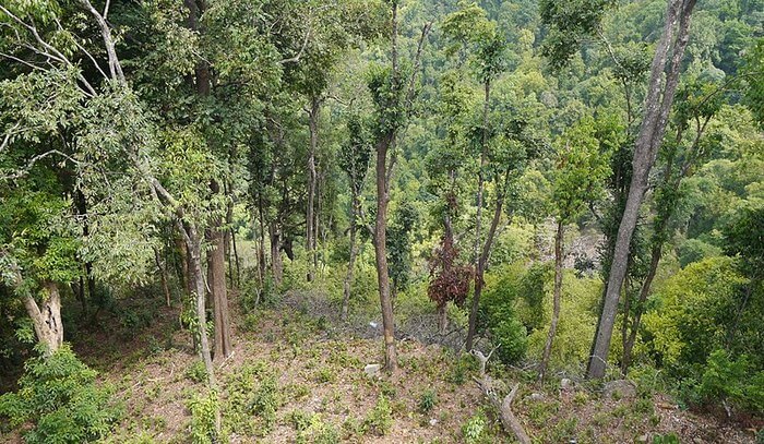 Anshi National Park