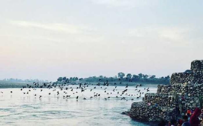 Birds flying past a water body in Neel Dhara Pakshi Vihar in Haridwar