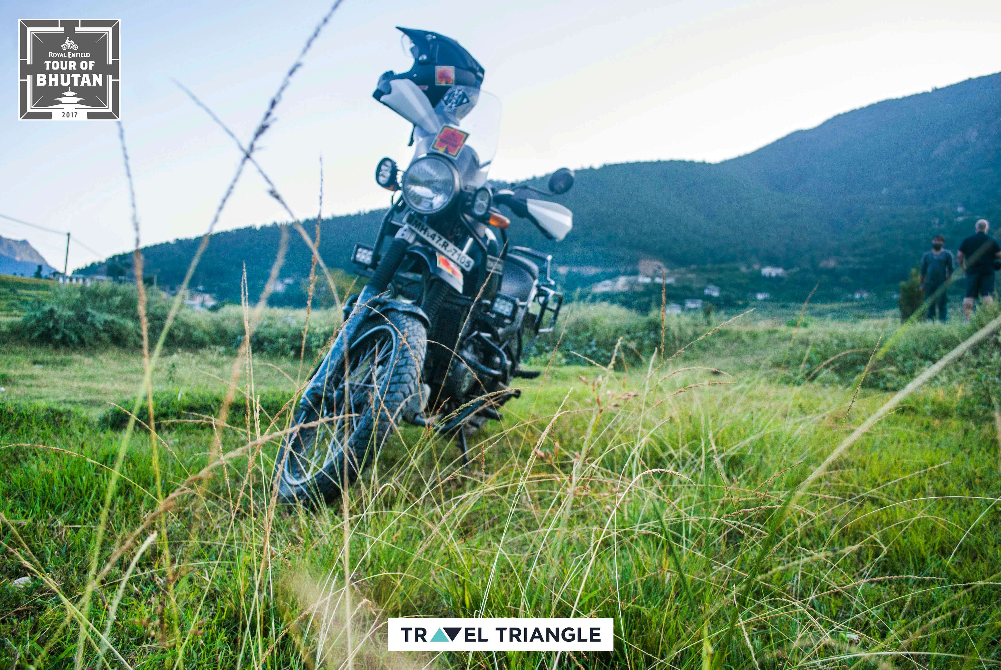 Thimphu to Punakha: the bike standing on a grassy slope
