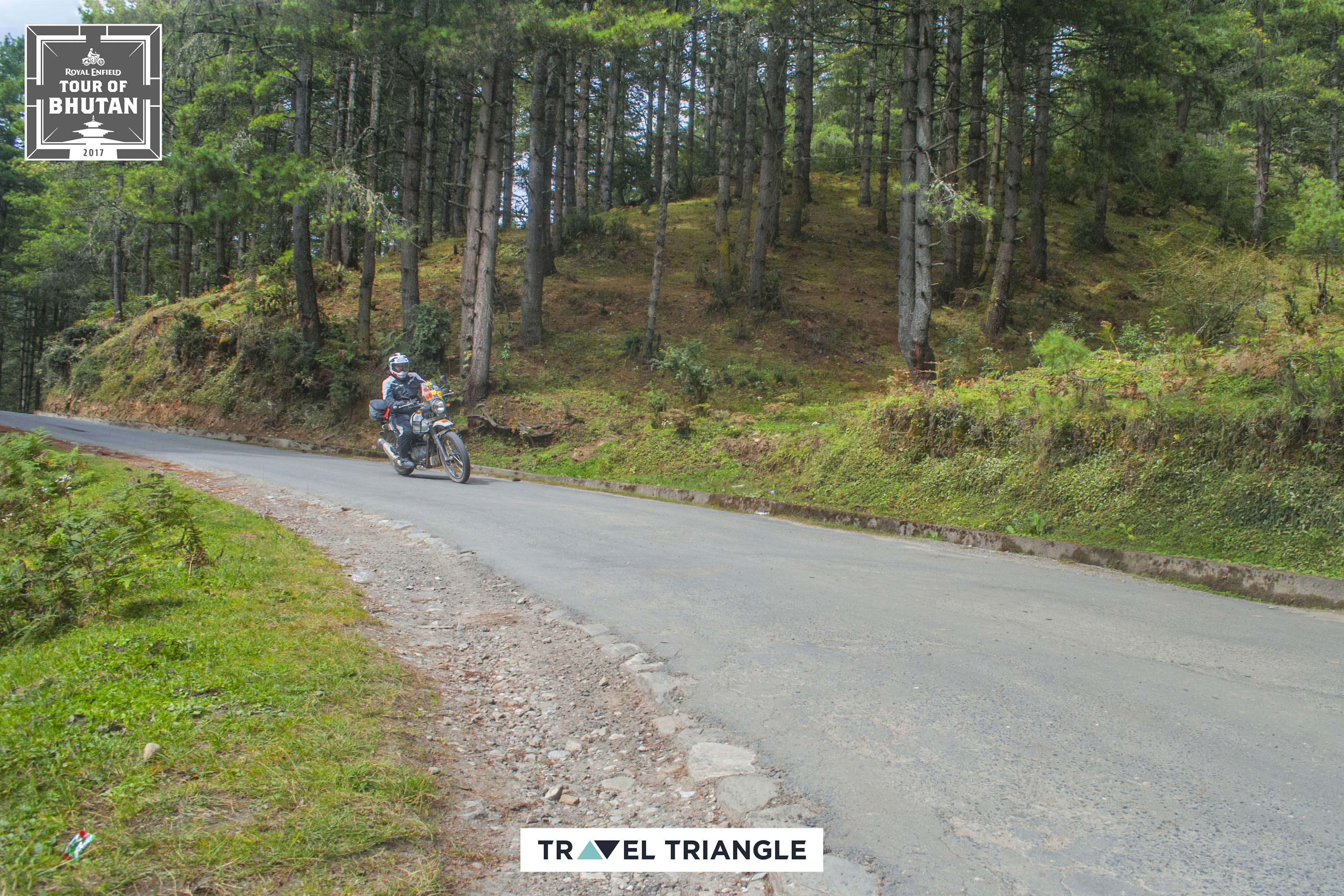 Punakha to Phobjikha: riding through lush forests