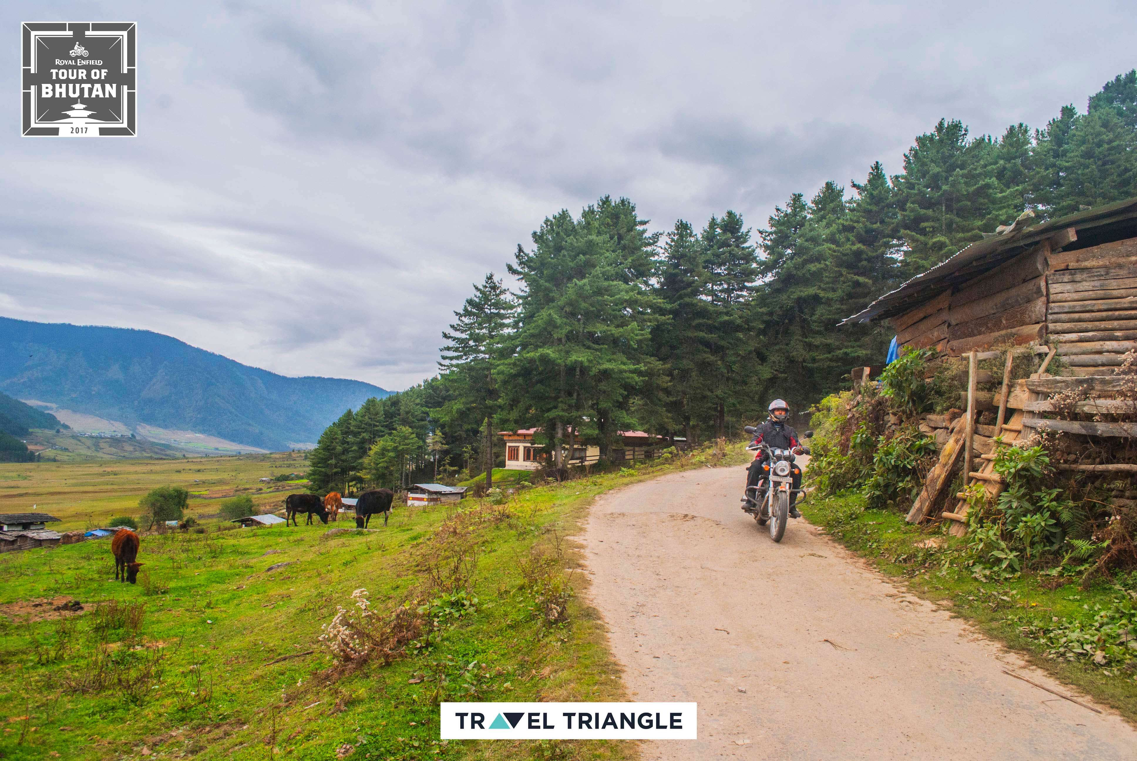 Punakha to Phobjikha: riding through Bhutan's hills