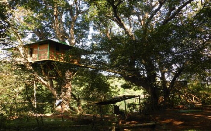Hornbill River Resort in Dandeli