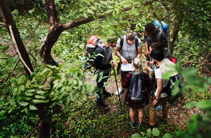 Jungle View