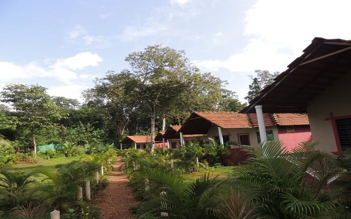 10 Dandeli Resorts For That Dreamy Stay Amidst Woods