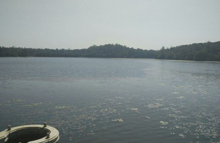 Lake View