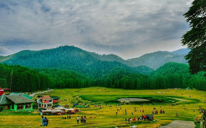 Khajjiar ground surrounded by tall deodar trees