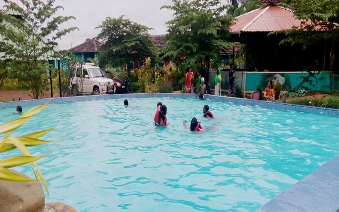 Kingfisher Jungle Stay