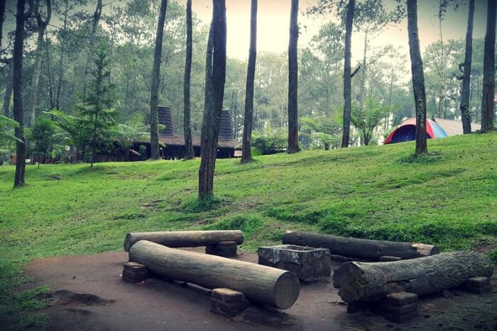 Kulgi nature camp