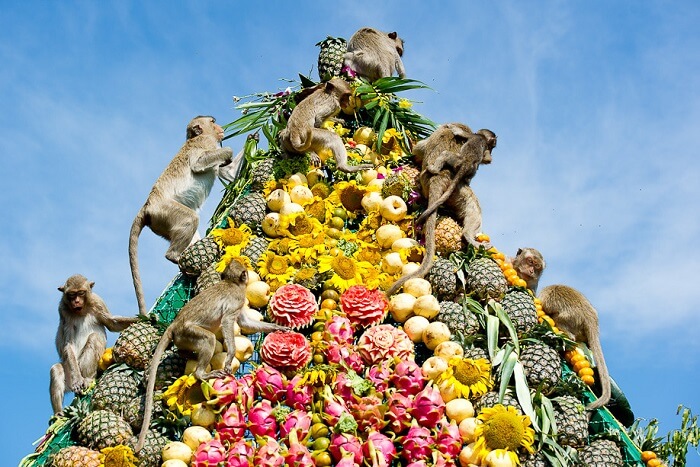 witness the amusing Thailand Monkey Buffet Festival