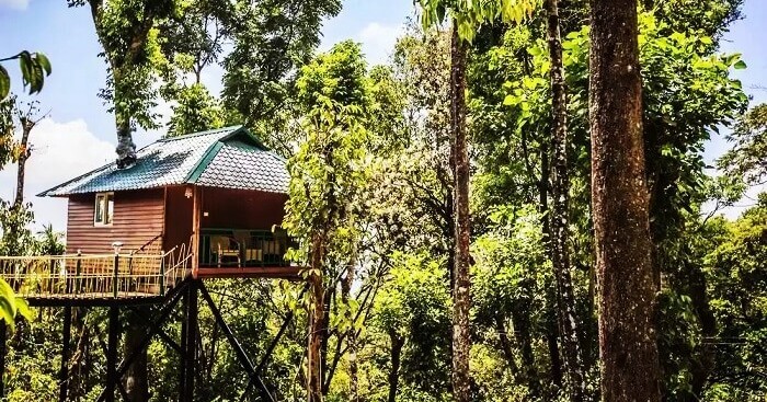 20 Tree Houses In Kerala For A Perfect Date With Nature In 2023