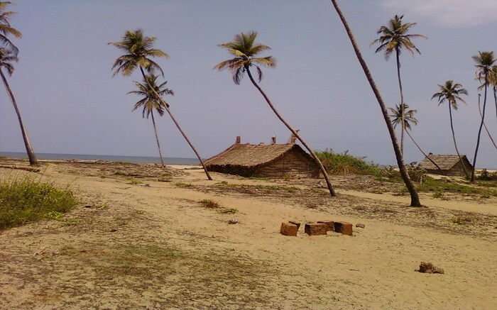 Old huts on a beach