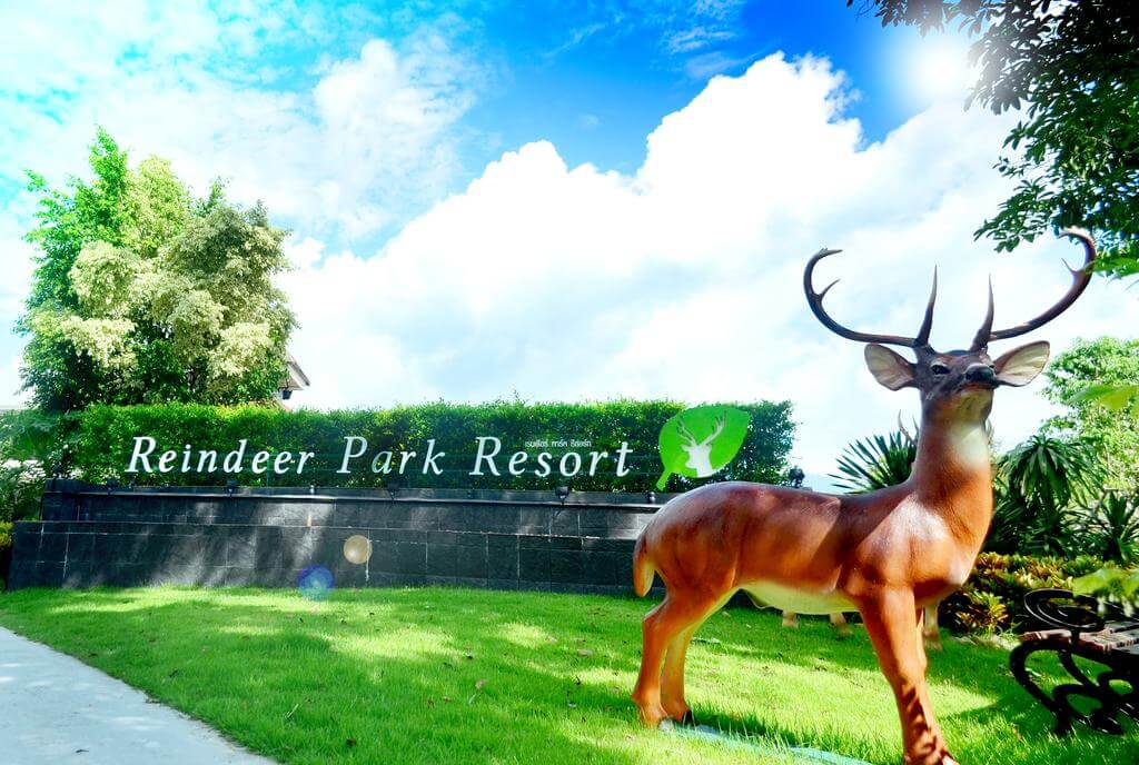 A wooden deer in the lawn of a Kanatal resort