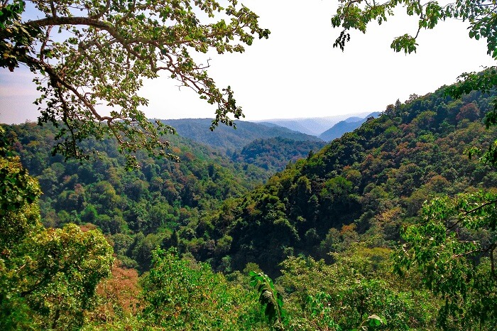 visit Shiroli Peak in dandeli