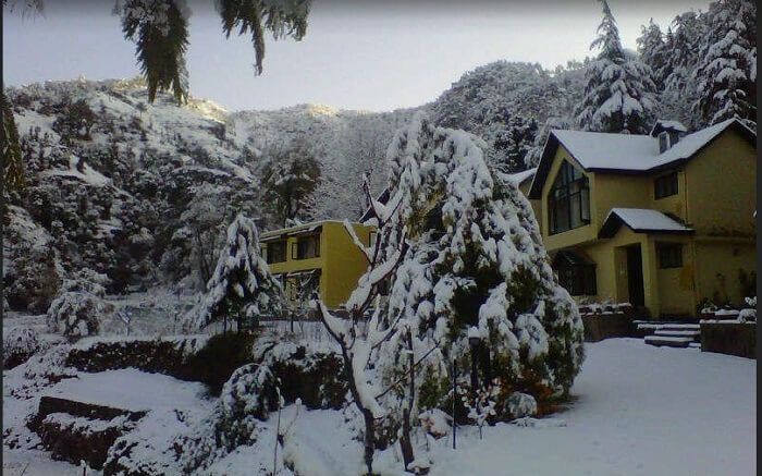Snow covered resort and trees