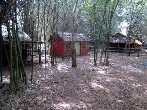 an old resort inside a jungle